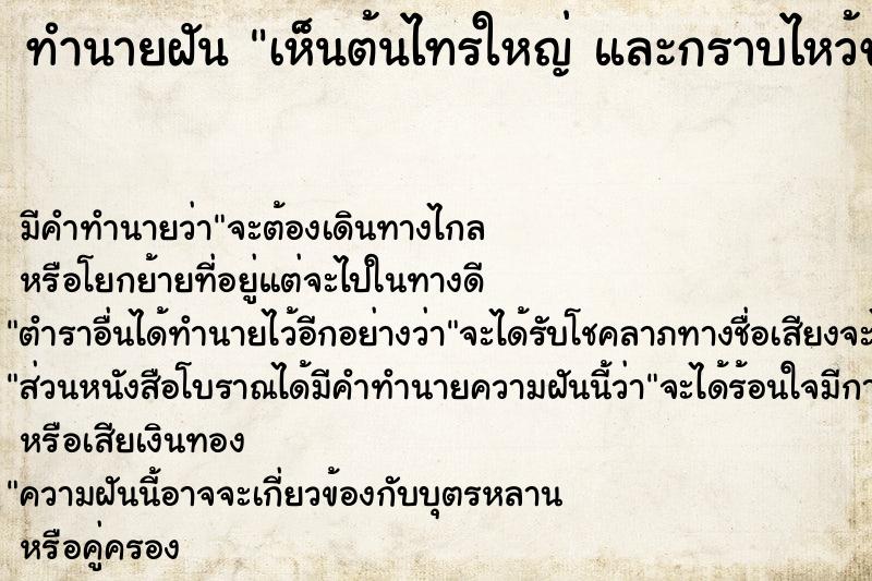 ทำนายฝัน เห็นต้นไทรใหญ่ และกราบไหว้ขอพร